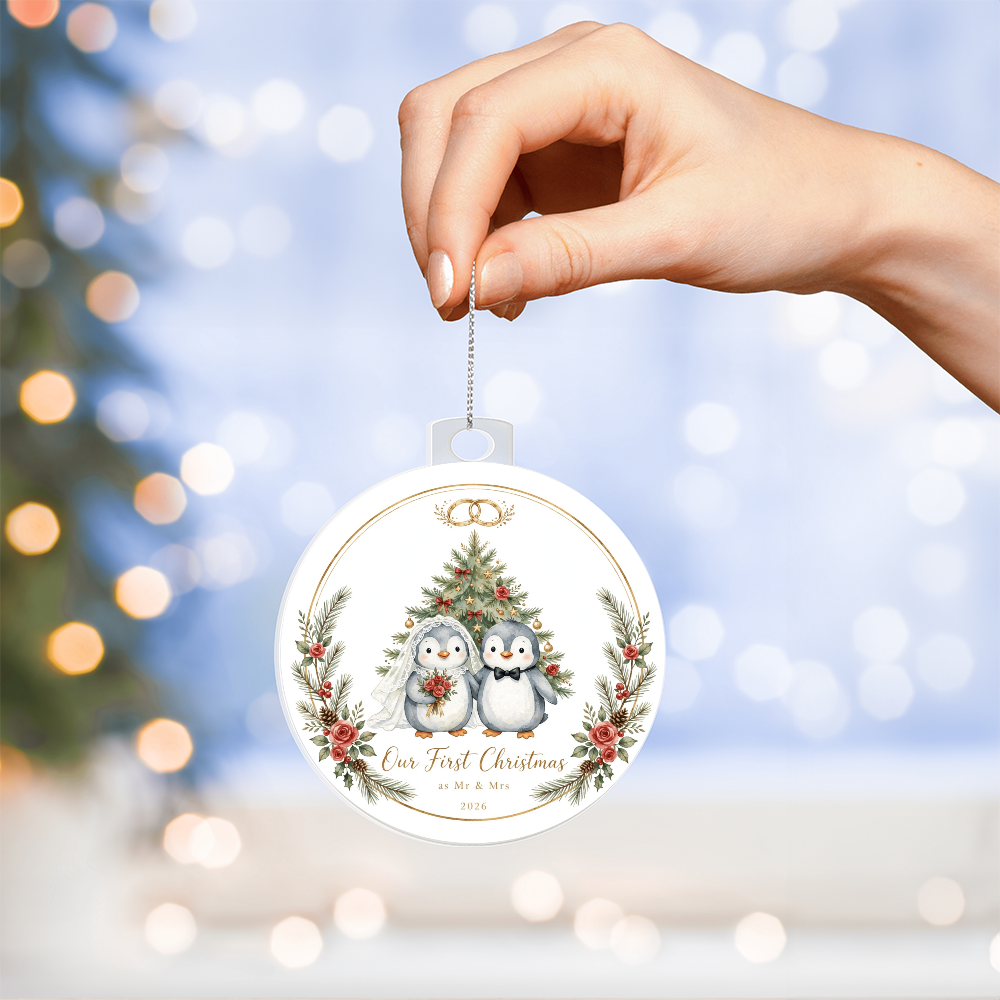 Our First Christmas as Mr & Mrs 2026 — penguin version